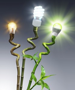 Incandescents, CFL, & LED lightbulbs