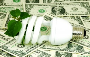 Saving energy bulb and money